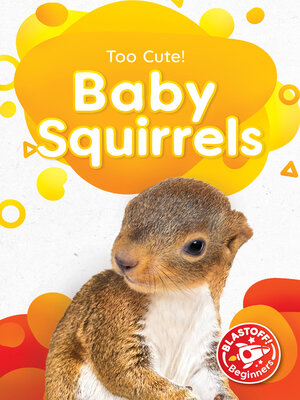 cover image of Baby Squirrels
